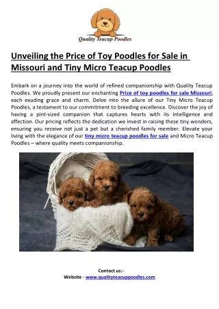 Unveiling the Price of Toy Poodles for Sale in Missouri