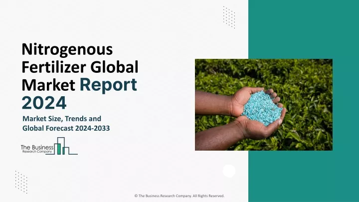 nitrogenous fertilizer global market report 2024