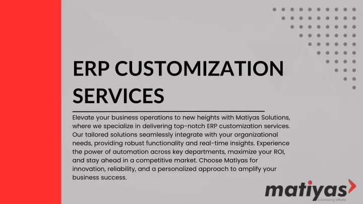 erp customization services