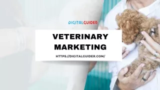 Why is Veterinary marketing important in 2024