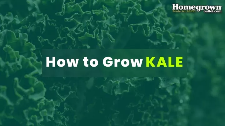 how to grow