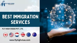 Best Permanent Residency Visa services | Fly High Visas