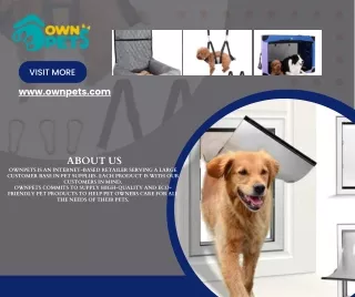 visit more