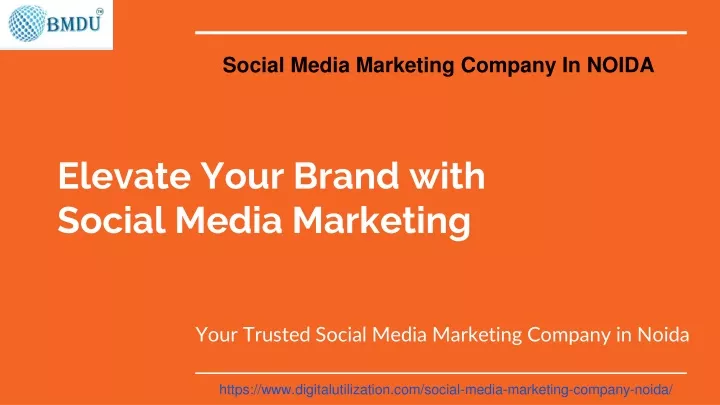 elevate your brand with social media marketing