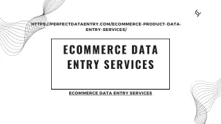 Elevating E-Commerce Success: The Power of Professional Data Entry Services