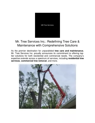 Mr. Tree Services Inc.- Redefining Tree Care & Maintenance with Comprehensive Solutions