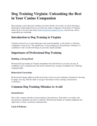 Dog Training Virginia DTV