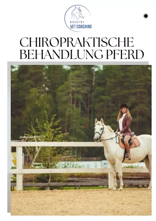 Chiropraktische Behandlung Pferd