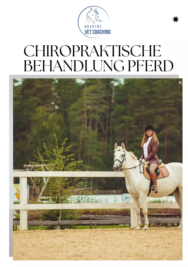 chiropraktische behandlung pferd