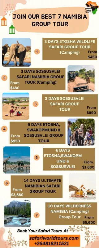Best Namibia Safari Tours