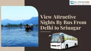 View Attractive Sights By Bus From Delhi to Srinagar