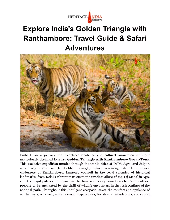 explore india s golden triangle with ranthambore