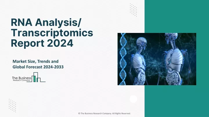 rna analysis transcriptomics report 2024