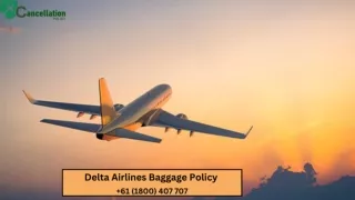 Delta Airlines Baggage Policy