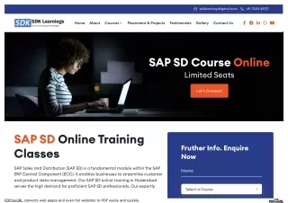 What is in our sap sd course