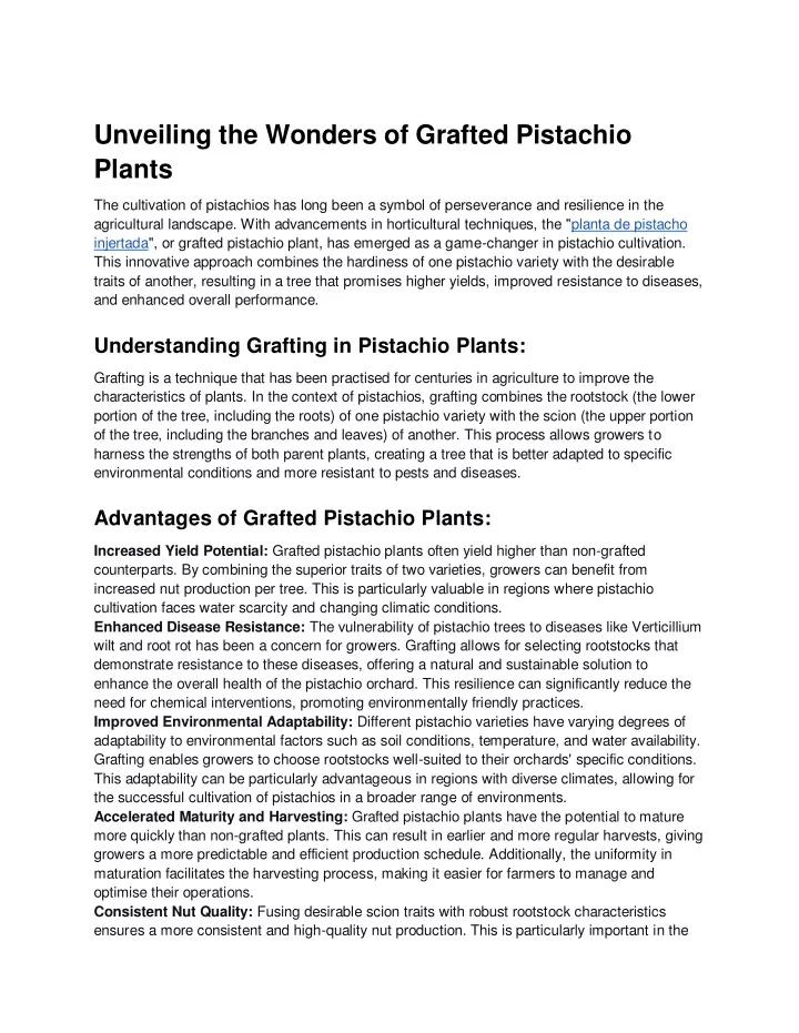 unveiling the wonders of grafted pistachio plants