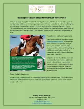 Building Muscles in Horses for Improved Performance