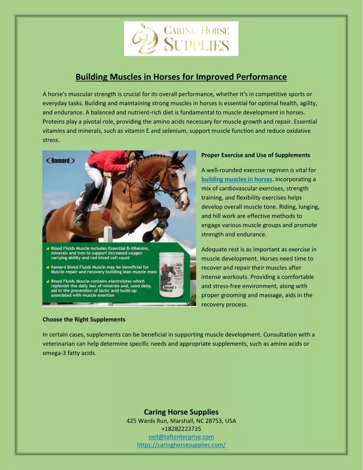 building muscles in horses for improved