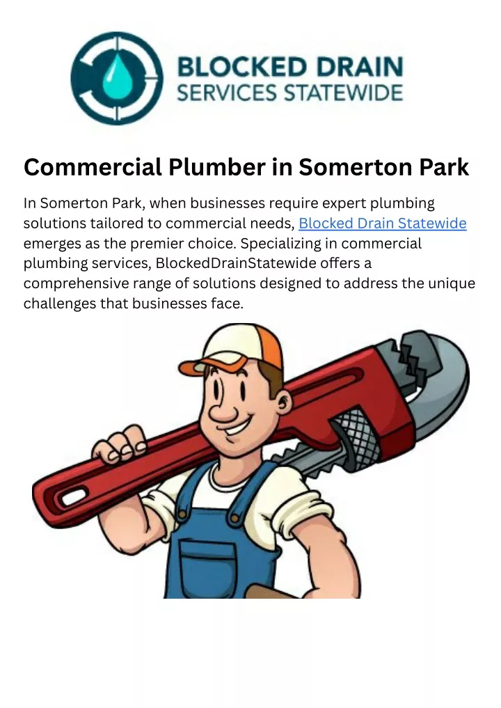 commercial plumber in somerton park