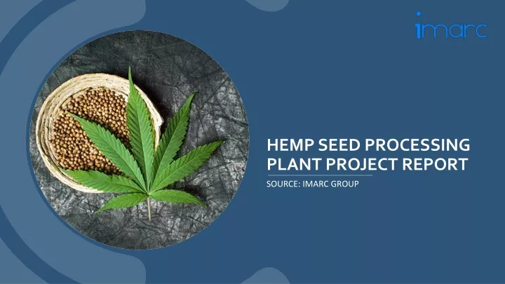 hemp seed processing plant project report