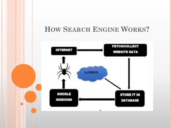how search engine works