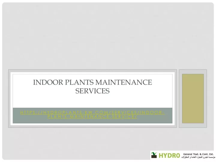 indoor plants maintenance services