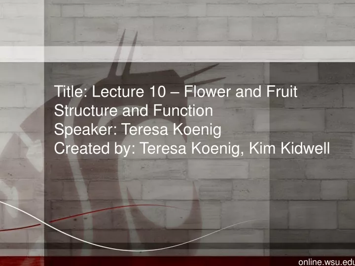 title lecture 10 flower and fruit structure