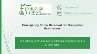 Emergency Snow Removal for Brampton Businesses