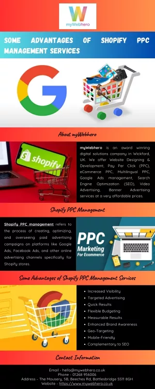 Some Advantages of Shopify PPC Management Services