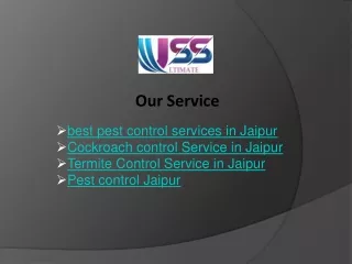 best pest control services in Jaipur