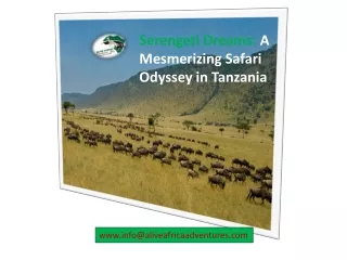 Serengeti Dreams: A Mesmerizing Safari Odyssey in Tanzania