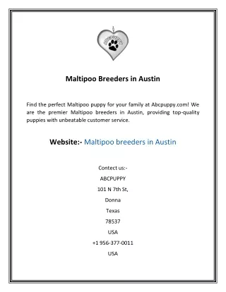 Maltipoo Breeders in Austin