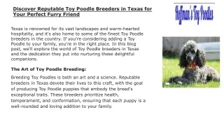 Discover Reputable Toy Poodle Breeders in Texas for Your Perfect Furry Friend