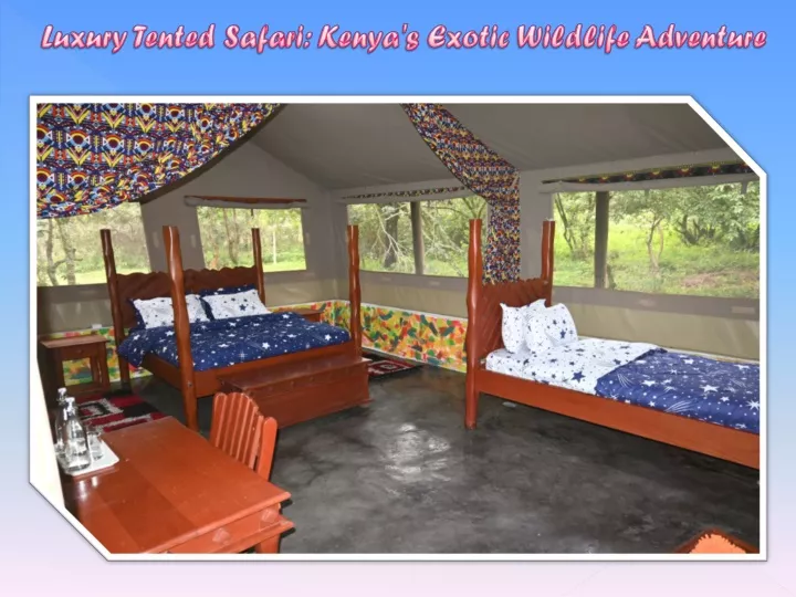 luxury tented safari kenya s exotic wildlife