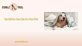 Top Winter Care Tips For Your Pets