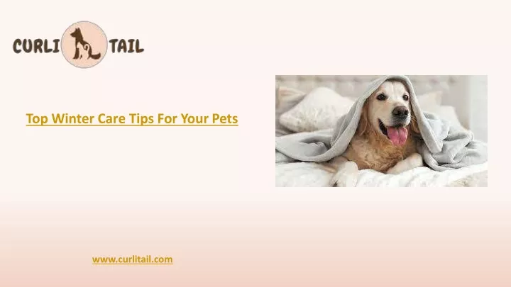 top winter care tips for your pets