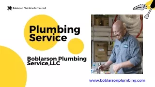 boblarson plumbing Services Presentation
