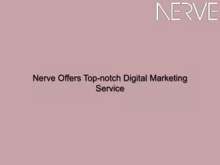 Nerve Offers Top-notch Digital Marketing Service