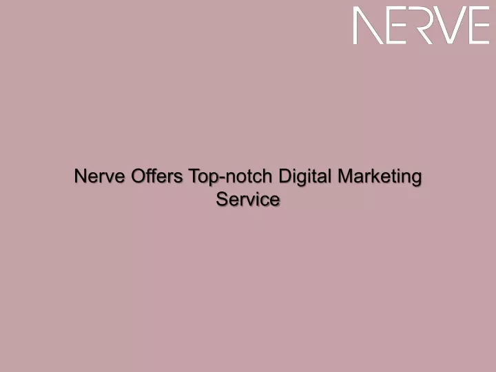 nerve offers top notch digital marketing service