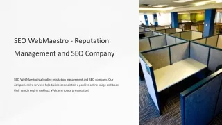 SEO WebMaestro - Reputation Management and SEO Company