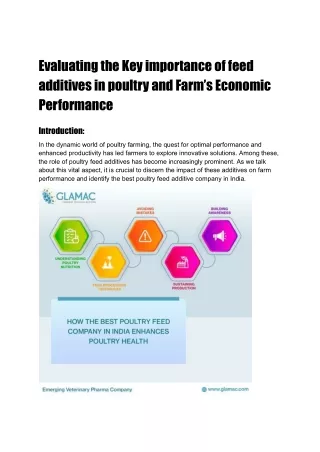 Key importance of feed additives in poultry and Farm’s Economic Performance