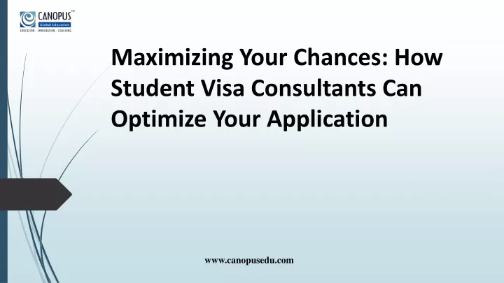 maximizing your chances how student visa consultants can optimize your application
