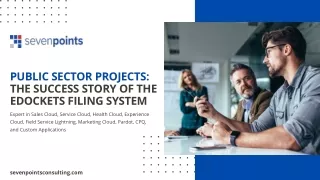 Public Sector Projects The Success Story of the eDockets Filing System