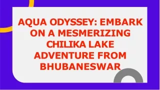 Discovering The Wonders Of Chilika Lake With Krishpyangel Holidays Packages
