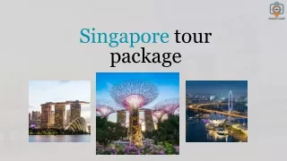 Book Singapore Tour Package  With Travel Case