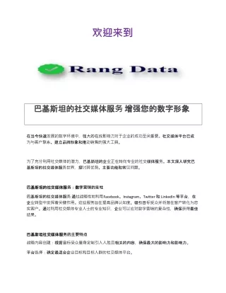 巴基斯坦的社交媒体服务 增强您的数字形象