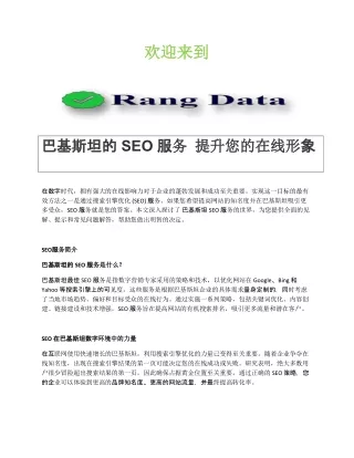 巴基斯坦的 SEO 服务 提升您的在线形象