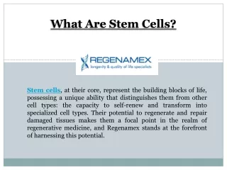 What Are Stem Cells?