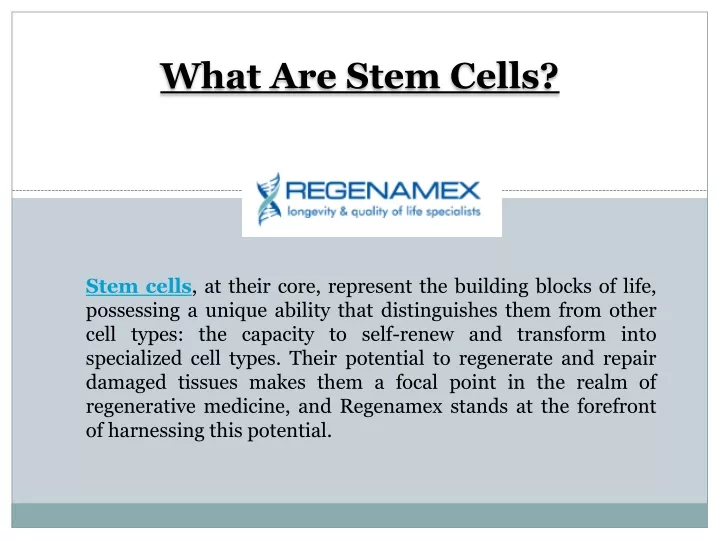 what are stem cells
