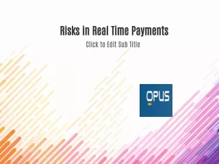 Risks in Real-Time Payments